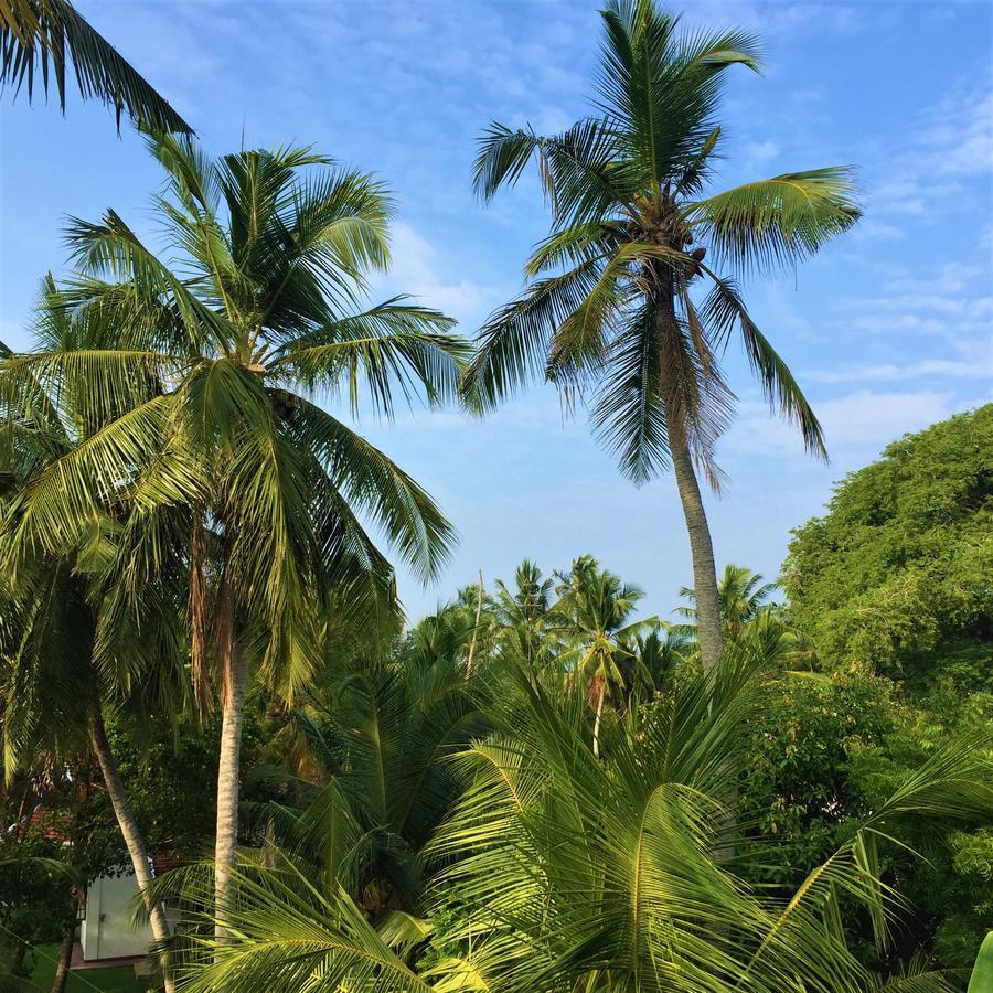 Chill Space Negombo Exterior photo